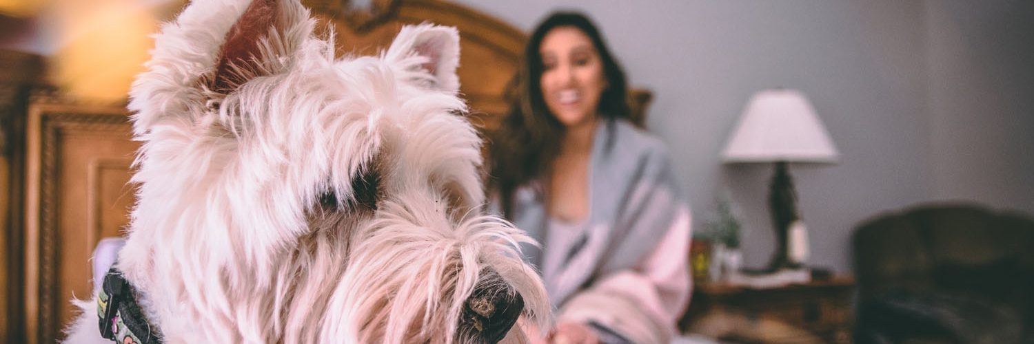  Pisos Alicante y Apartamentos Alicante